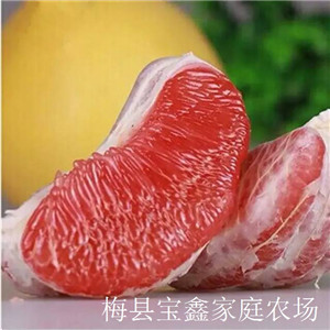 梅縣寶鑫家庭農(nóng)場(chǎng)