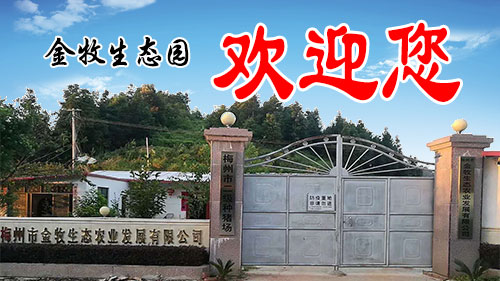 梅州大米，豬肉，蔬菜批發(fā)選梅州市金牧生態(tài)農(nóng)業(yè)發(fā)展有限公司