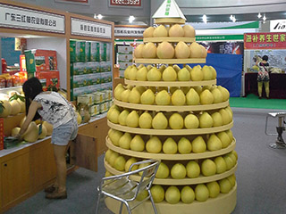 梅州柚子批發(fā)，梅州三紅蜜柚選廣東三紅柚農(nóng)業(yè)有限公司