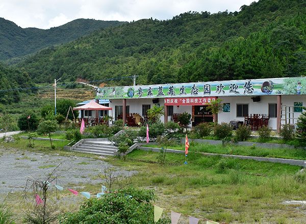粵東藍莓基地