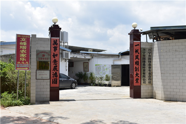 興寧市國鋒桑葉茶有限公司