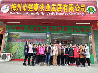 梅江區(qū)首屆十大農(nóng)產(chǎn)品品牌---梅州強惠農(nóng)業(yè)