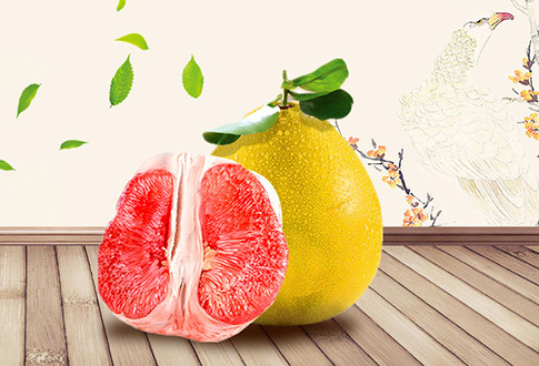 梅州市海嘉農(nóng)業(yè)發(fā)展有限公司