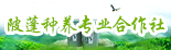 陂蓬種養(yǎng)專(zhuān)業(yè)合作社