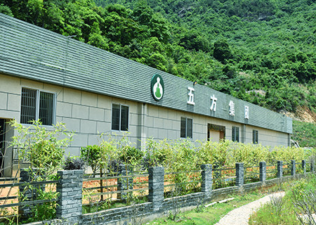 梅州市狀元蒜業(yè)有限公司（梅州五方酒業(yè)）