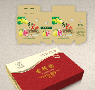 梅州印刷公司——梅州市育龍彩印包裝有限公司