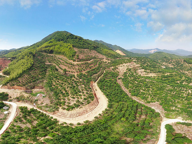 蕉嶺縣福泰生物科技有限公司