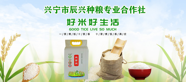 興寧市辰興種糧專(zhuān)業(yè)合作社